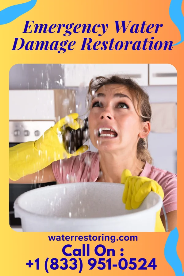 Emergency Water Damage Restoration in Rennerdale, PA