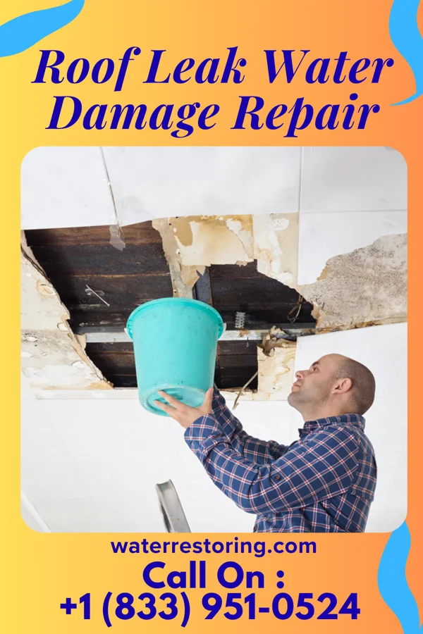 Roof Leak Water Damage Repair in Rennerdale, PA