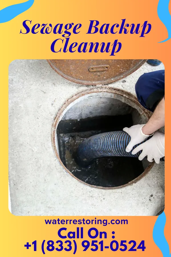 Sewage Backup Cleanup in Rennerdale, PA